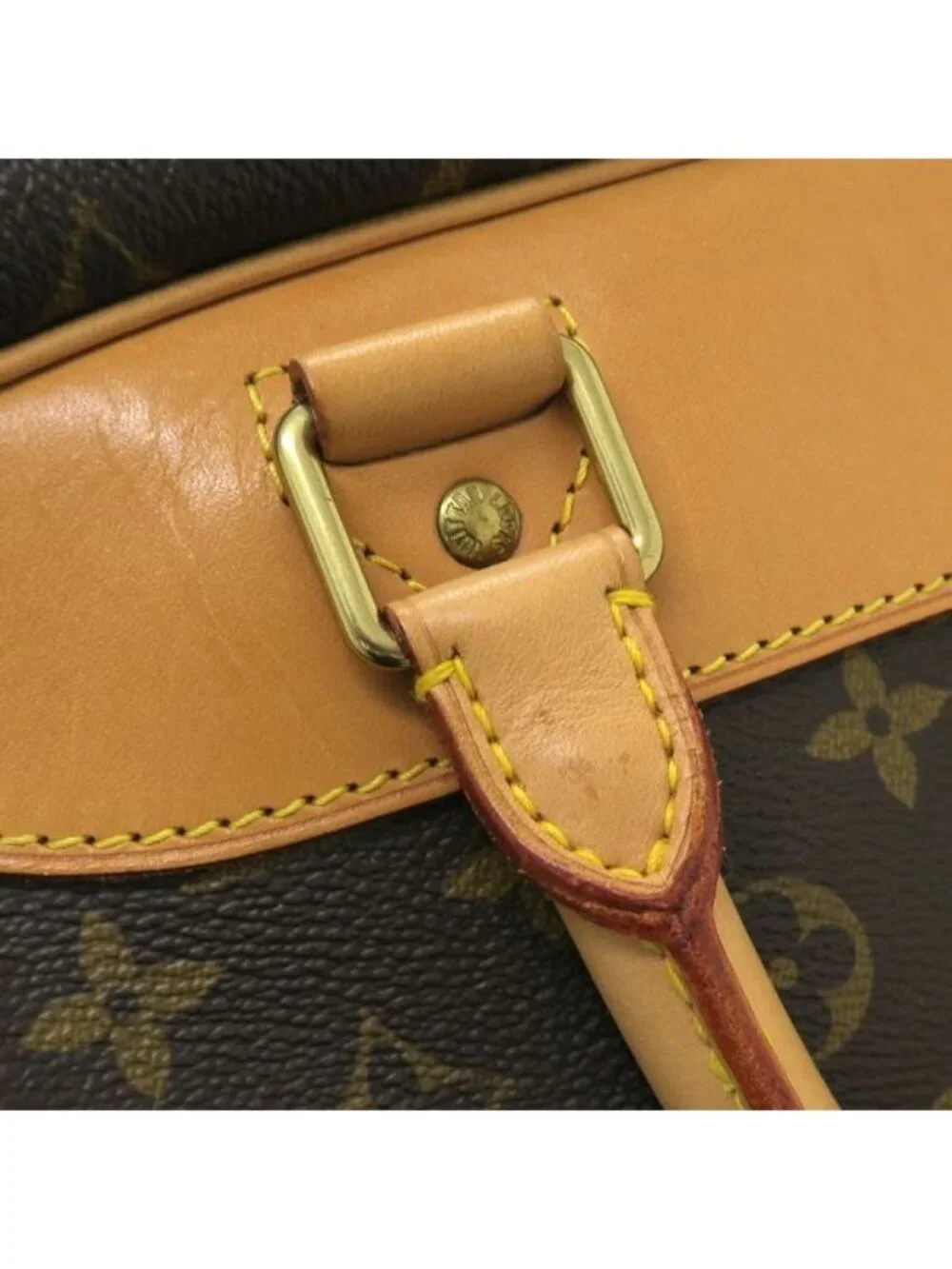 Louis Vuitton brand louis